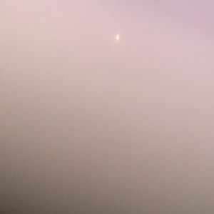 Meet your Posher, Cali